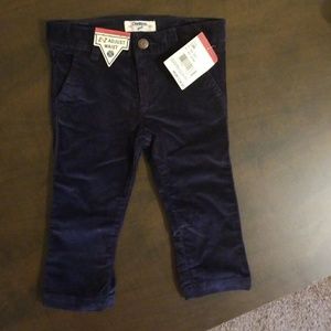 Osh kosh Baby girl velvet pants new